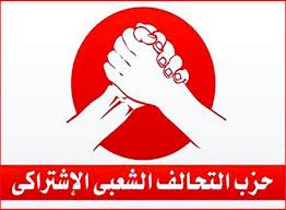 التحالف المصري للأقليات 
