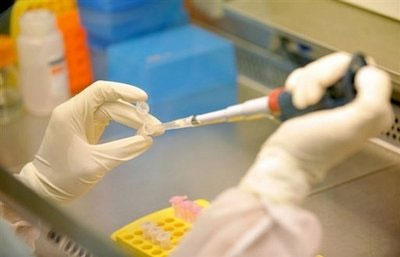 الصين: نجاح التجارب على أول لقاح لإنفلونزا الخنازير في العالم