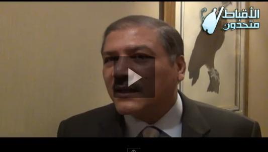 بالفيديو : عفت السادات نعم لدستور 30 يونيو 