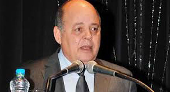 الدكتور محمد صابر عرب وزير الثقافة