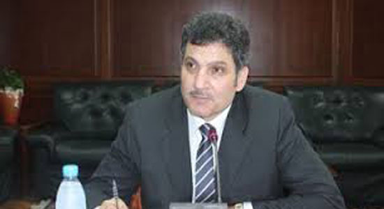 د. حسام مغازى وزير الموارد المائية والرى