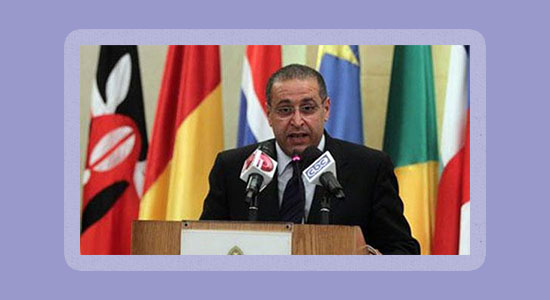 السفير / د. حازم فهمي الأمين العام للوكالة المصرية