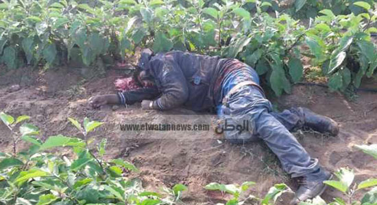 مقتل 5 إرهابيين من منطقة الحسنة بالشرقية