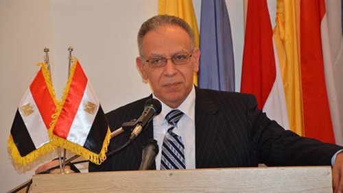 السفير المصري في فيينا