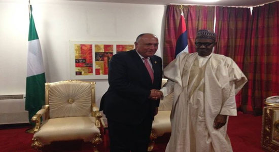 وزير الخارجية يشارك في تنصيب الرئيس النيجيري الجديد
