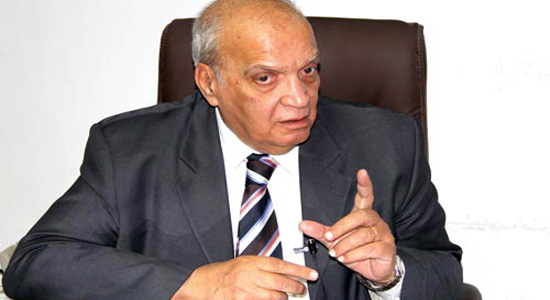 الدكتور نور فرحات، أستاذ القانون في جامعة الزقازيق