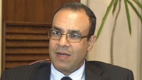 السفير بدر عبد العاطي