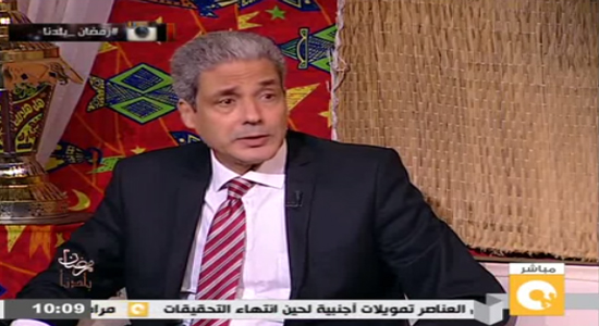  الدكتور محمد عفيفي الأمين العام السابق للمجلس الأعلى لثقافة وأستاذ التاريخ بجامعة القاهرة