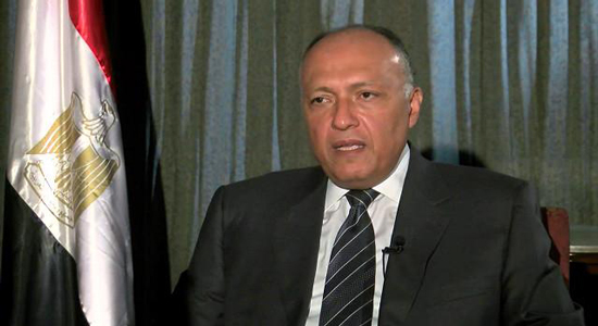  وزير الخارجية المصري سامح شكري