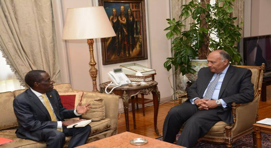 وزير الخارجية يبحث مع نظيره الأوغاندي ملف مياه النيل