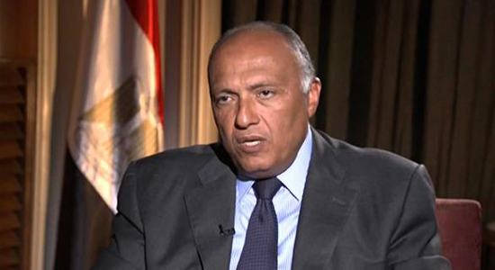  سامح شكري، وزير الخارجية المصري