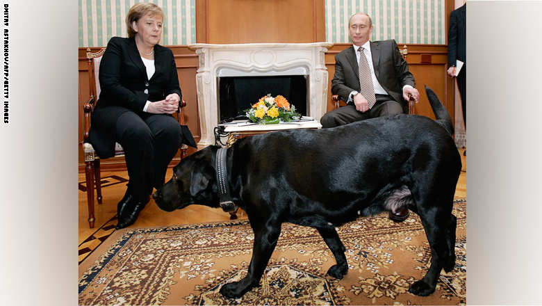 فلاديمير بوتين: لم أقصد إخافة انجيلا ميركل بكلبي