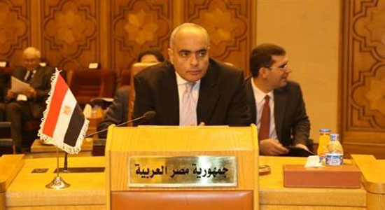  السفير عمرو أبو العطا