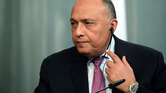 وزير الخارجية المصري يتهم قوى إقليمية بدعم الإرهاب في سوريا