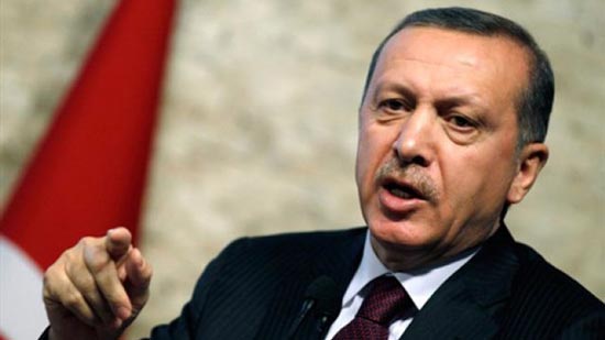 خبير في الشأن التركي: لا يوجد عاقل يقف بجوار 