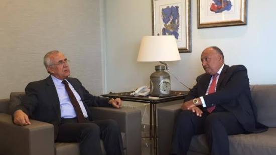 لبنان تطالب مصر بدور فعال لحل أزمة الفراغ الرئاسي في لبنان
