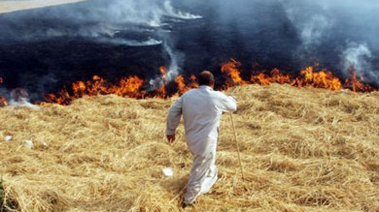 تحرير 80 محضرًا للمزارعين لحرقهم قش الأرز في كفر الشيخ