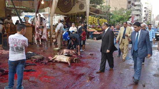 بالصور.. الذبح فى شوارع الإسكندرية على مرأى المحافظ خلال جولته بعد صلاة العيد  