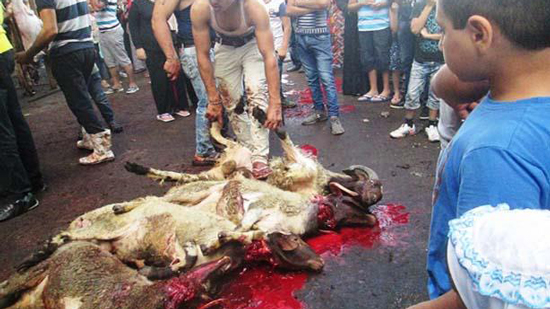 بدأ مئات المواطنين بالإسكندرية ذبح أضاحي العيد، صباح اليوم الاثنين