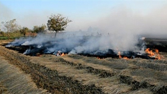  البيئة تحذر من آثار ظاهرة الانعكاس الحرارى وتهيب بالمزارعين الامتناع عن حرق قش الأرز