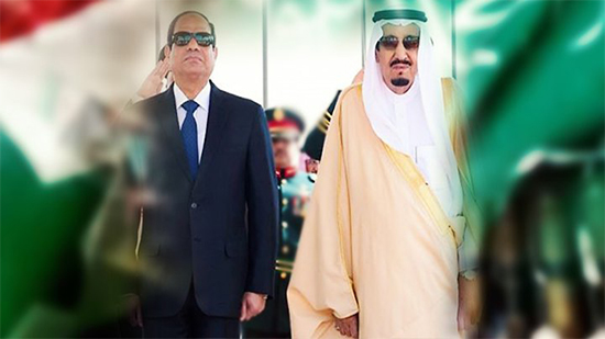  العلاقات المصرية السعودية.. منحنيات الدعم والنفور هل انتهى شهر العسل؟