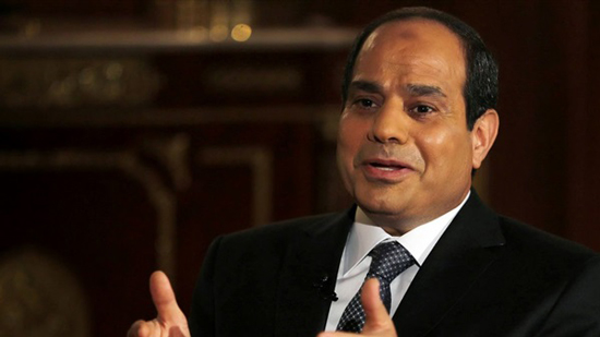 السيسي: لن نترك محدودي الدخل دون حماية ولا أسيء للإعلام المصري