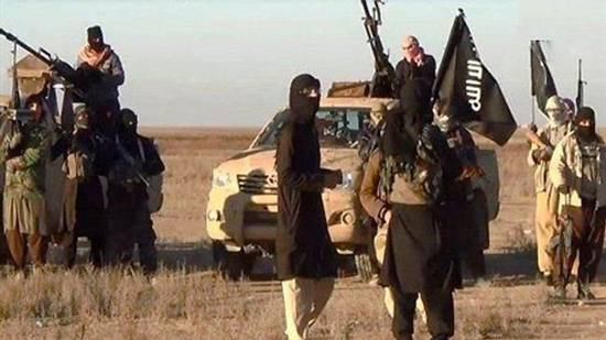 مقاتلة كردية تأسر 3 من عناصر داعش (صور)