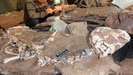 اكتشاف حفريات الديناصور الأسوء حظًا