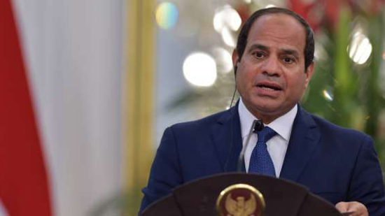 عاجل| السيسي يستعرض مع المفوض الأوروبي جهود مصر لمكافحة الهجرة غير الشرعية