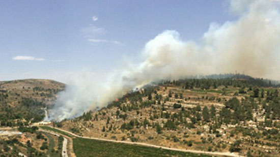 فلسطين تعلن مساعدة إسرائيل في إخماد الحرائق