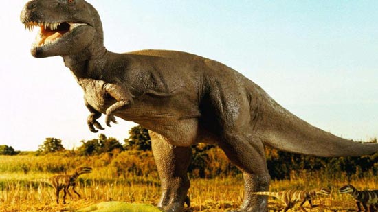 الديلي تليغراف: البيض سبب لانقراض الديناصورات 
