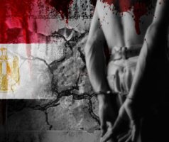 بروتوكول هولندي دنماركي مع القومي لحقوق الإنسان لمنع التعذيب بمصر