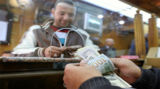 الدولار يسجل 15.9 جنيه بتعاملات اليوم- الصورة من آريبيان رويترز