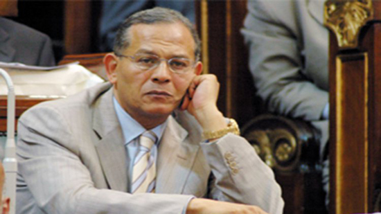 السادات: إسقاط عضويتي البرلمانية متروك لضمائر النواب