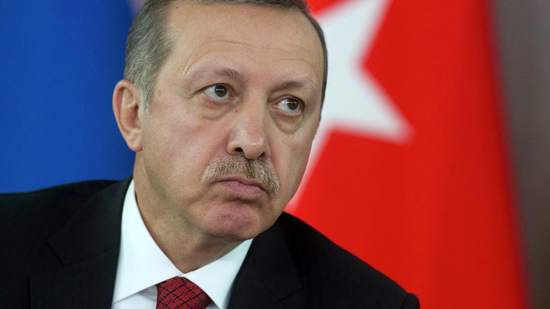 ميركل : تركيا تقمع حرية الصحافة 
