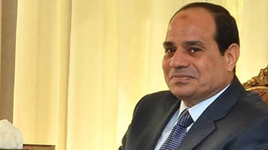  نائبة برلمانية : كلمة الرئيس عبد الفتاح السيسى بالقمة الأردنية فخر للمصريين