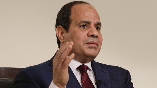 نائبة برلمانية:زيارة الرئيس السيسى لواشنطن تدعم التوازن في العلاقات المصرية الأمريكية