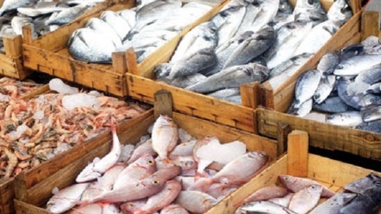 أرشيفية - أسعار السمك اليوم