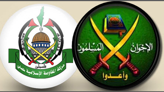 الإفتاء: انفصال حماس خسارة جديدة للإخوان وندعوها لمراجعات فكرية ونبذ العنف
