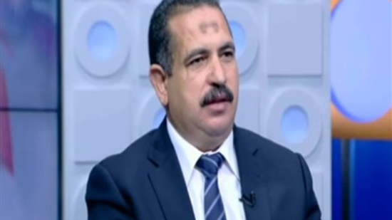 خالد الشافعي، الخبير الاقتصادي