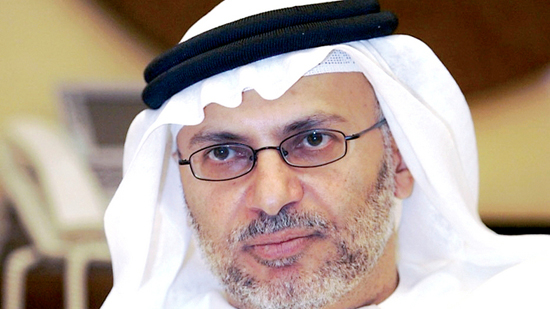 وزير إماراتي: طلب قطر للحماية العسكرية الخارجية ليس حلًا