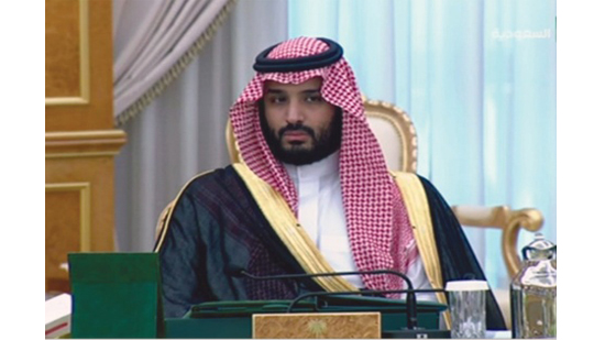 مجلس إسلامي بالنمسا يهنئ الأمير محمد بن سلمان لتعيينه وليا للعهد فى السعودية 