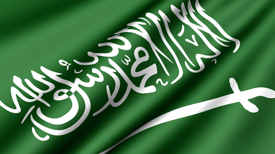الجارديان: انقلاب ناعم في السعودية  