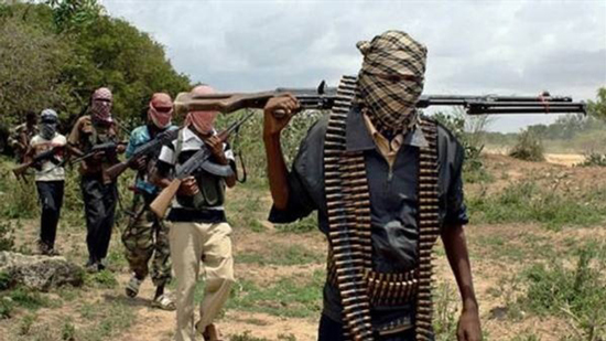  مقتل 9 أشخاص واختطاف 70 آخرين في هجوم على قرية جنوبي النيجر