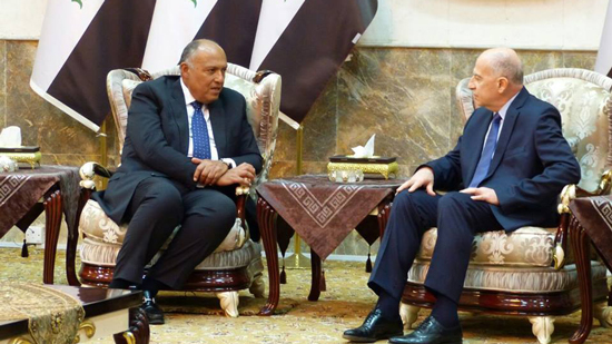 وزير الخارجية يؤكد خلال لقاءاه مع نواب الرئيس العراقي على دعم مصر الكامل للعراق