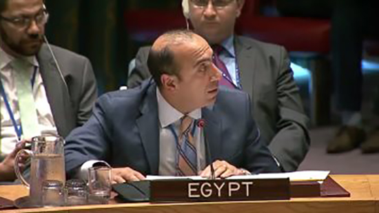 مندوب مصر بمجلس الأمن