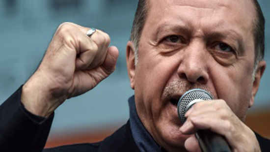 أردوغان يحذر ألمانيا من التدخل فى شئون بلاده
