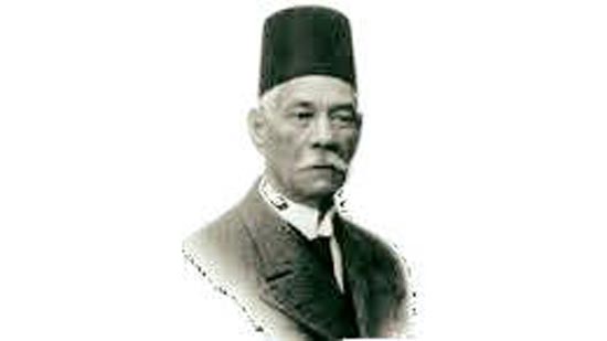  سعد باشا زغلول