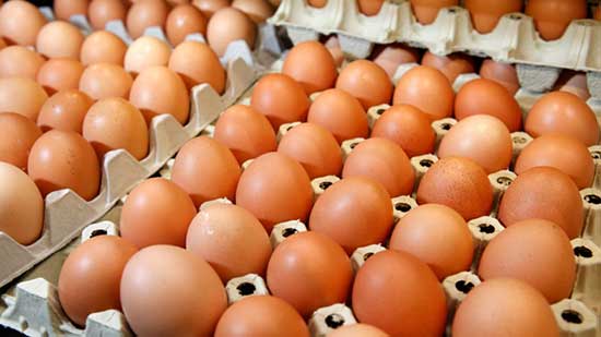 أسعار البيض في الأسواق اليوم 29-8-2017