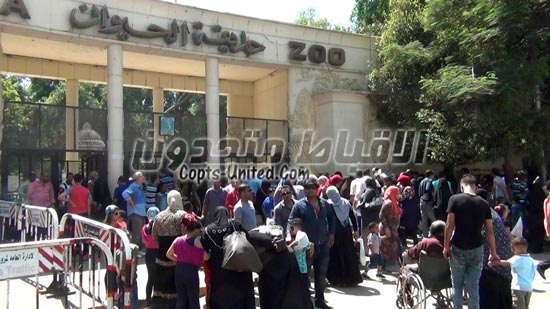 شاهد.. حديقة الحيوان تستقبل الآلاف من المصريين في أخر أيام عيد الأضحى المبارك